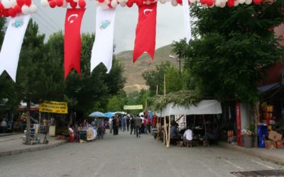 Kiğı Festivali 2011